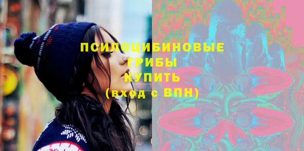 крисы Алексеевка