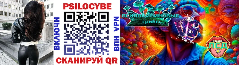 купить наркотики цена  Гдов  Галлюциногенные грибы MAGIC MUSHROOMS 